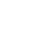 vizon